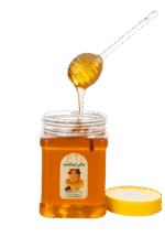 عسل گز انگبین یک کیلوگرم