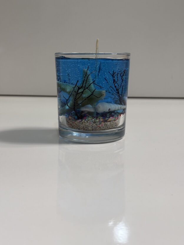 cropped-IMG_0686-scaled-1.jpeg شات شمع دریایی - Image 1